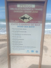 Attention :sharks!!!!